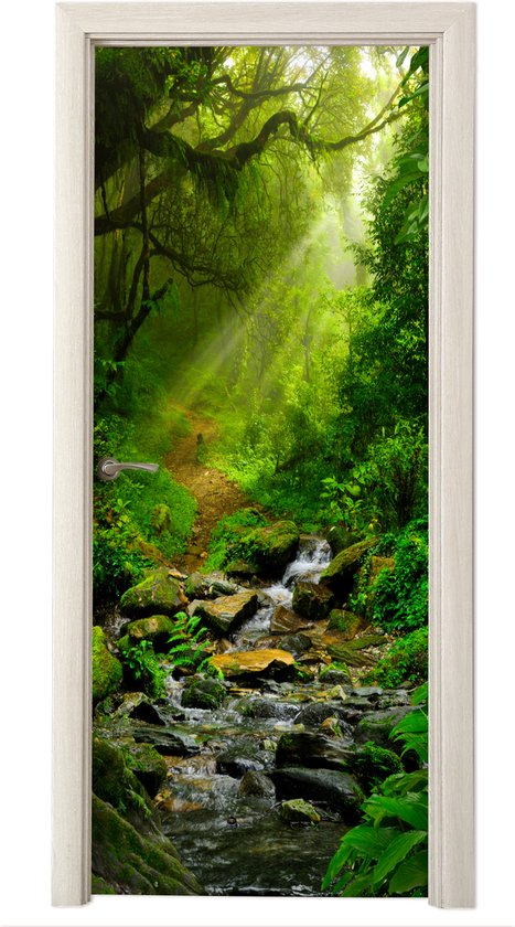Des rayons de soleil percent le feuillage d'une jungle verdoyante, le long d'un ruisseau rocailleux.