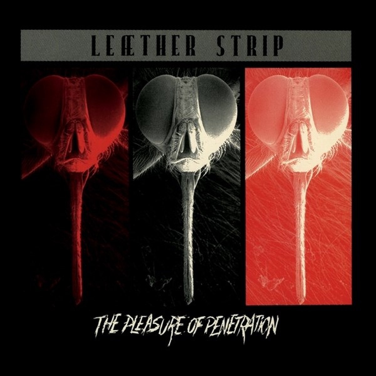Leaether Strip - The Pleasure Of Penetration (LP) (Coloured Vinyl)