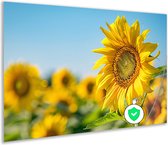 Zonnebloem poster - Plant muurdecoratie - Poster Bladeren - Muurdecoratie klassiek - Posters woonkamer - Slaapkamer decoratie poster 120x80 cm