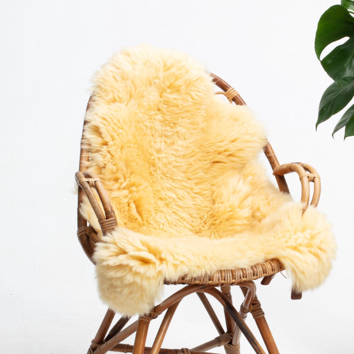 SHEEPY® | Schapenvacht | Linnea (Medicinaal) M (100-105cm) - Sheepy.cc