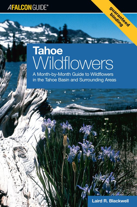 Tahoe Wildflowers - cover