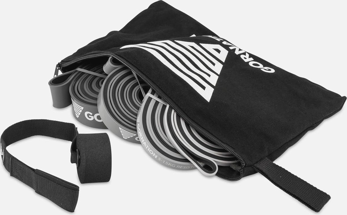 Goedkoopste Tweelaagse premium weerstandsbanden met videocursus - Ideaal voor crossfit, calisthenics en fitness