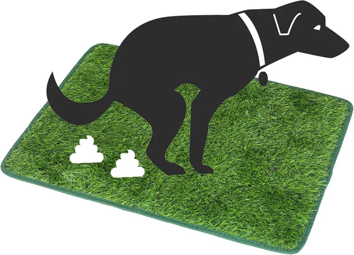 De beste grasmat voor honden | Hendriks