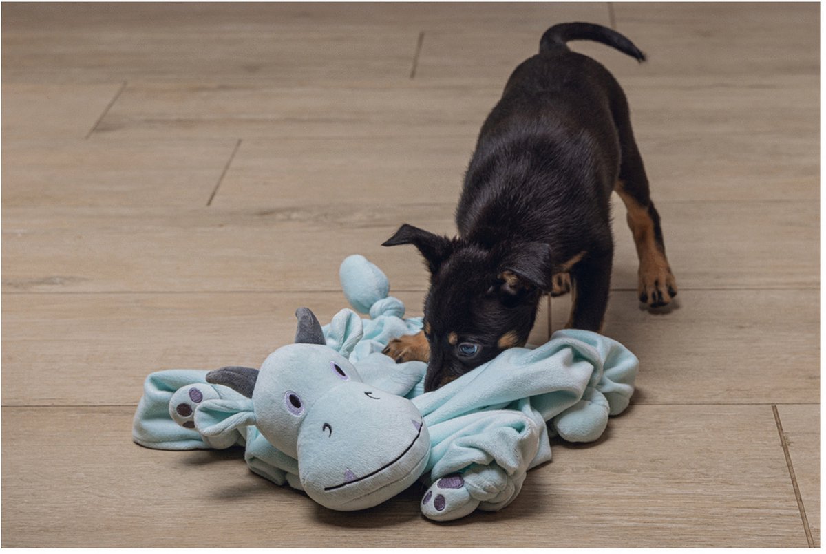 Beeztees Puppy Knuffeldoek Draak - Puppy Speelgoed - Puppyknuffel - Hondenspeelgoed - Groen thumbnail 3