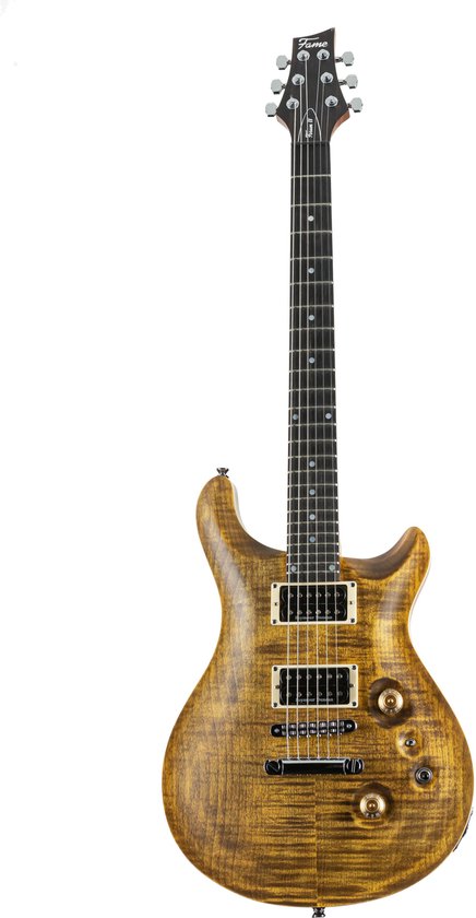 Corde Guitare Electrique Tiger Jeu De Cordes Et Enrouleur De