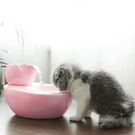 Fontaine Solacis pour chat - Sans fil - Fontaine à eau pour chat - Water - Animaux domestiques - Must pour votre chat !
