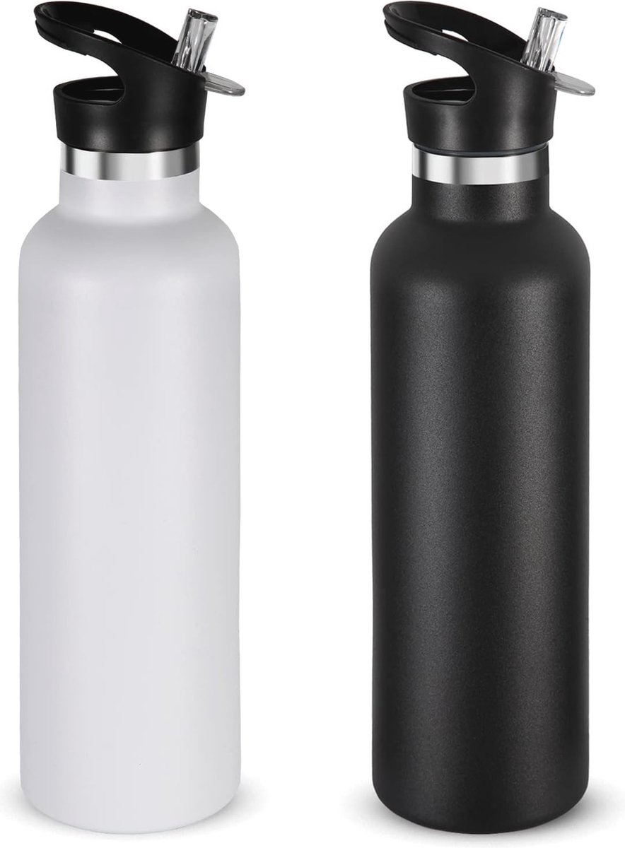 Goedkoopste Geïsoleerde Roestvrijstalen Waterflessen 750ml - Dubbele Wand Sportfles met Rietje en Handgreep - Set van 2 voor School, Fietsen, Wandelen en Cadeaus