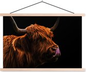 Porte-affiche avec affiche - Affiche scolaire - Highlander écossais - Langue - Nez - 90x60 cm - lattes vierges
