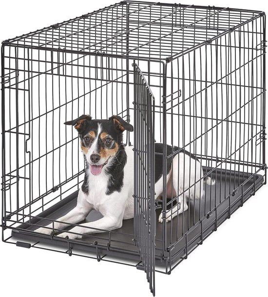 Zilveren Kooien Honden kopen? ✔️ Vergelijk de beste aanbiedingen
