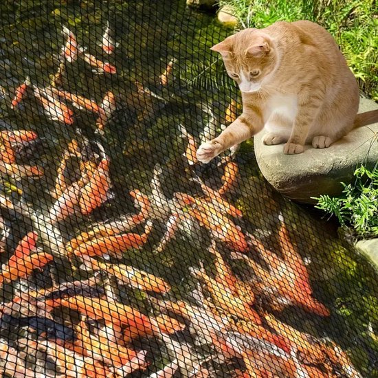Vijvernet - drijvende visbescherming, zeshoekige stevige barrièreset, 20 stuks, reiger wasbeer zeevogels, vijver garnalen veiligheidsbescherming, outdoor watertuin roofdier beschermingssysteem