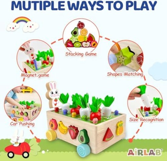 Montessori Educatief Speelgoed voor Meisjes Jongens 1 2 3 Jaar Oud, Houten Wortel Oogst Spel, Kleurvorm Sorteren Puzzels Stapelen Kubussen, Baby Zintuiglijke Fruit Tuin Speelgoed
