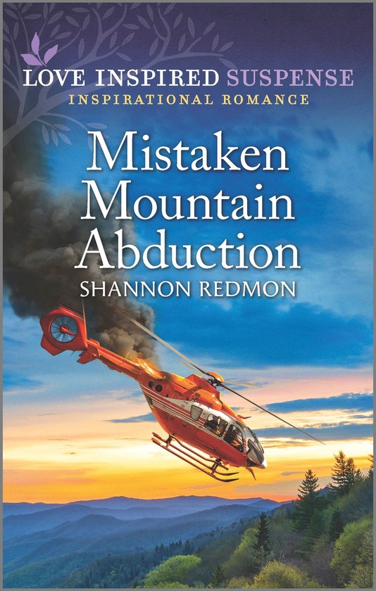 Mistaken Mountain Abduction - cover