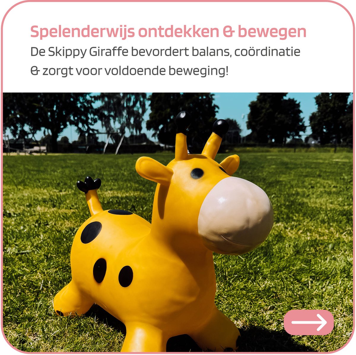 Jobber Toys Skippybal 70 cm - Skippy dieren Skippyballen - incl. pomp — afbeelding 4