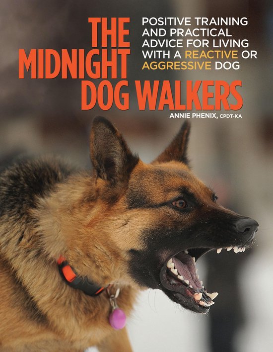 The Midnight Dog Walkers - cover