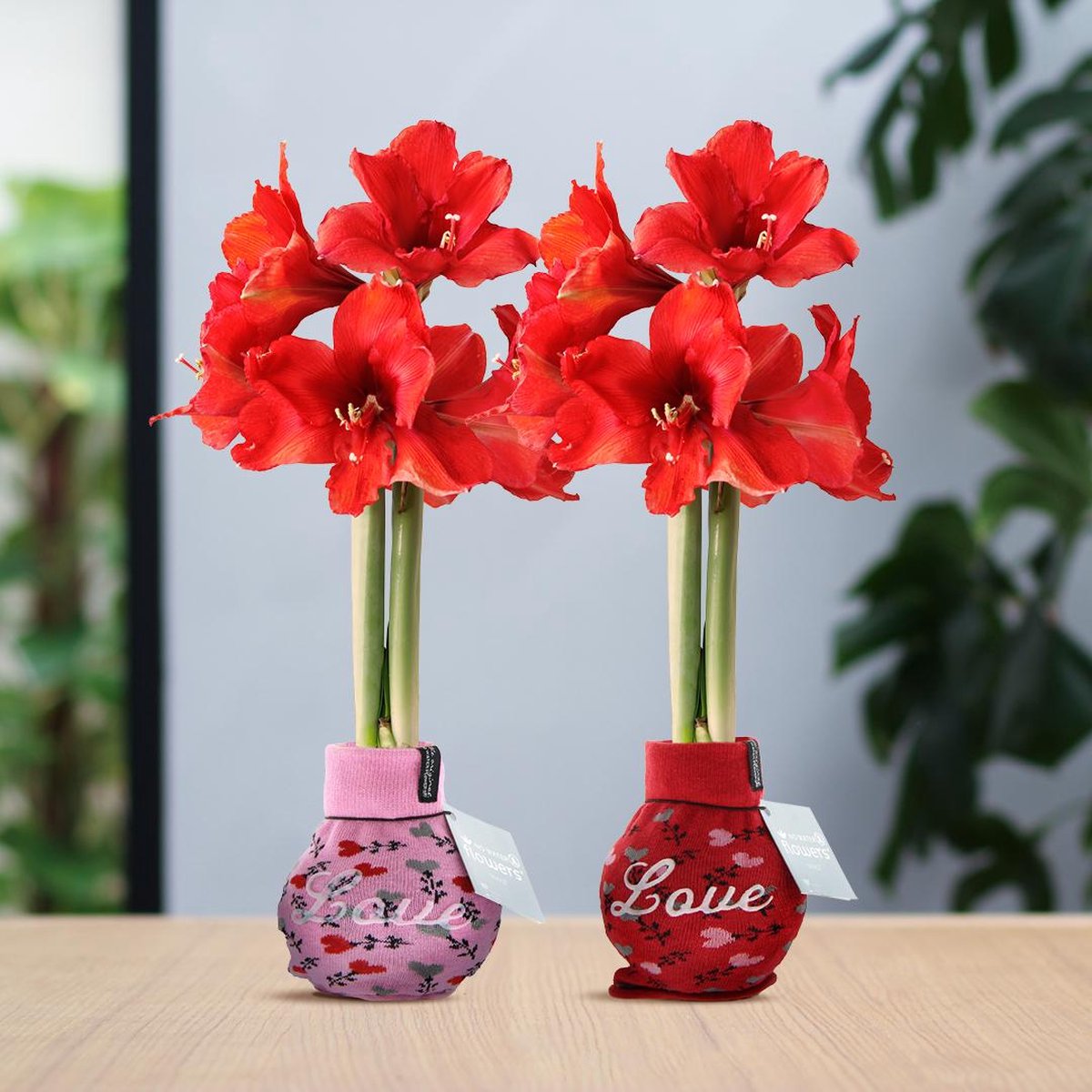 Green Harmony | (wax amaryllis) | Fashionz Love Mix (2 pack) + Red flower