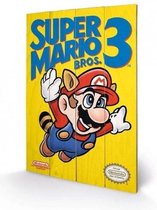 NINTENDO - Impression sur bois 40X59 - Super Mario Bros 3