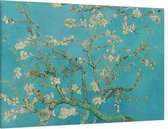 Amandelbloesem, Vincent van Gogh - Foto op Canvas - 45 x 30 cm
