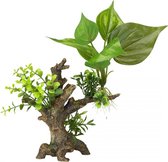 Auqa Della Florascape 6 S - 14,5x9x16,5CM