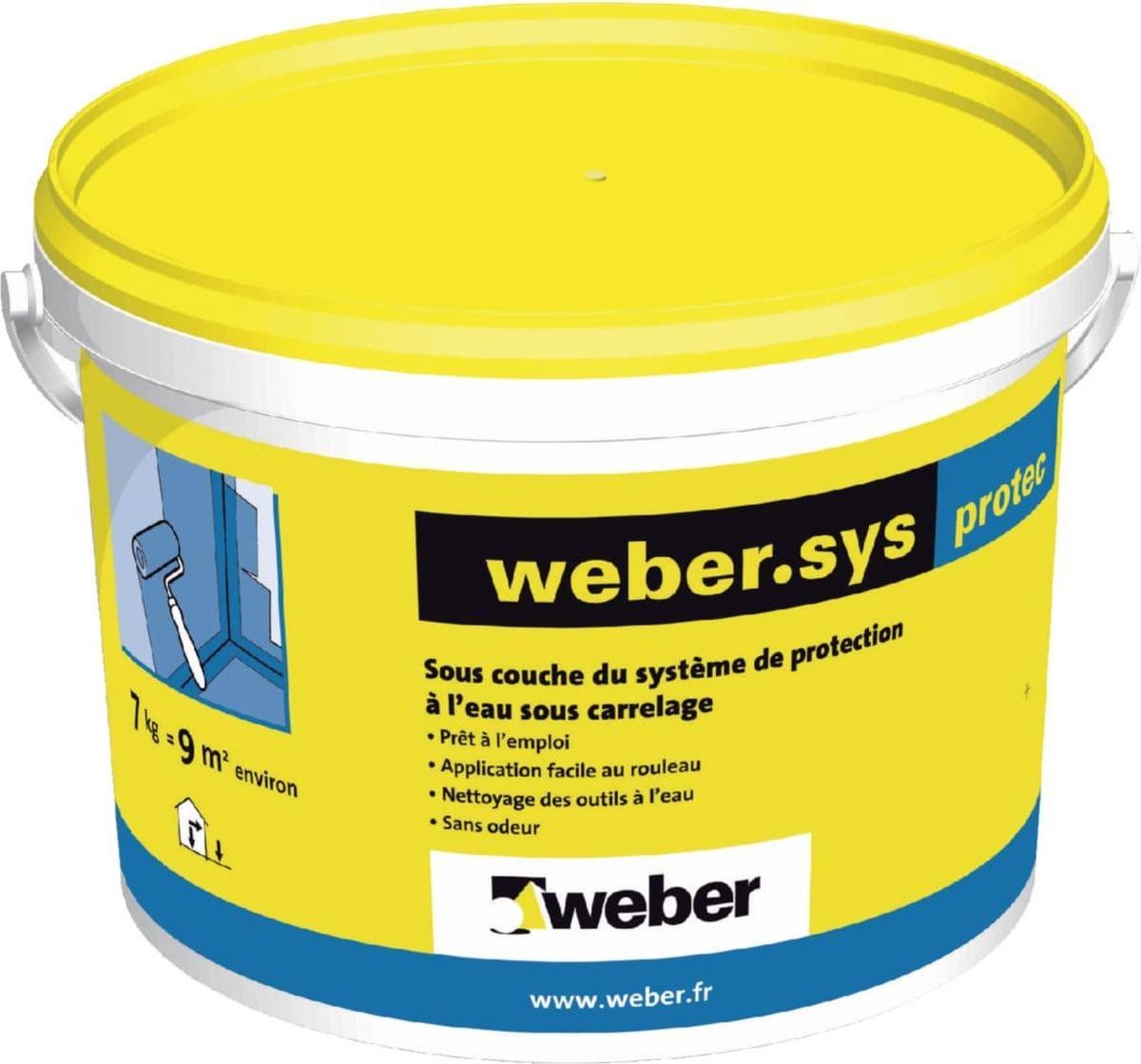 Weber-Sys Dry - 7kg