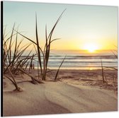 Dibond –Zand op het Strand -100x100 Foto op Aluminium (met ophang)