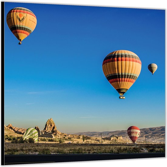 Dibond –Landende Luchtballonnen tussen Berger-100x100 Foto op Aluminium (met ophang)