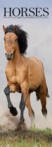 Horses Slimline Kalender 2021