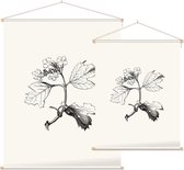 Gelderse Roos zwart-wit (Guelder Rose) - Foto op Textielposter - 45 x 60 cm