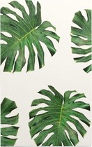 Bladpatroon 8 - Foto op Forex - 60 x 90 cm