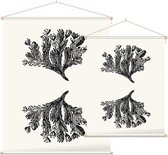 Minuartia Sedoides zwart-wit (Mossy Cyphel) - Foto op Textielposter - 60 x 80 cm
