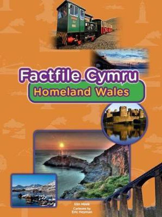 Factfile Cymru: Homeland Wales | 9781848517424 | Elin Meek | Boeken | bol