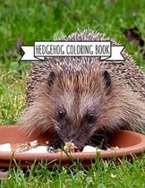 Hedgehog Coloring Book