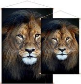 Leeuw koning jungle - Foto op Textielposter - 60 x 90 cm