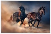 Zwarte hengsten in de woestijn - Foto op Akoestisch paneel - 150 x 100 cm