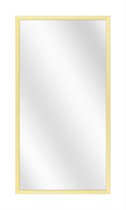 Spiegel met Luxe Aluminium Lijst - Mat Champagne - 50x150 cm