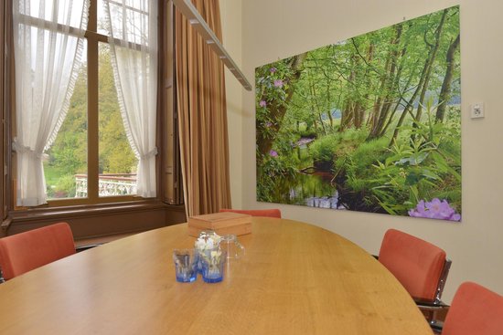 Papier peint photo peint photo ruisseau de forêt aux rhododendrons en fleurs 450 x 260 cm