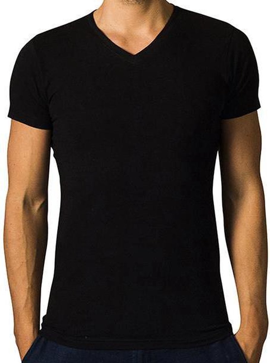 2 x T-shirt Basic - Biologisch katoen - zwart - V - hals