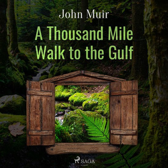 A Thousand Mile Walk to the Gulf - cover