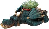 Dozing Dragon - plantenpot