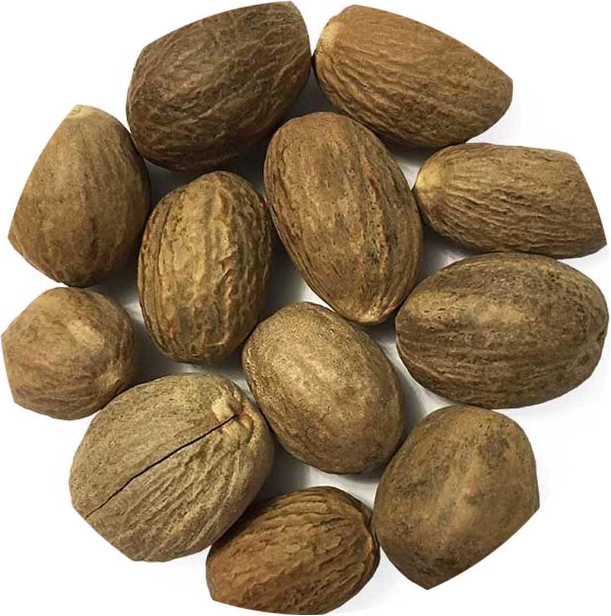 Goedkoopste Muskaatnoot Heel Bio - 100 gram - Holyflavours