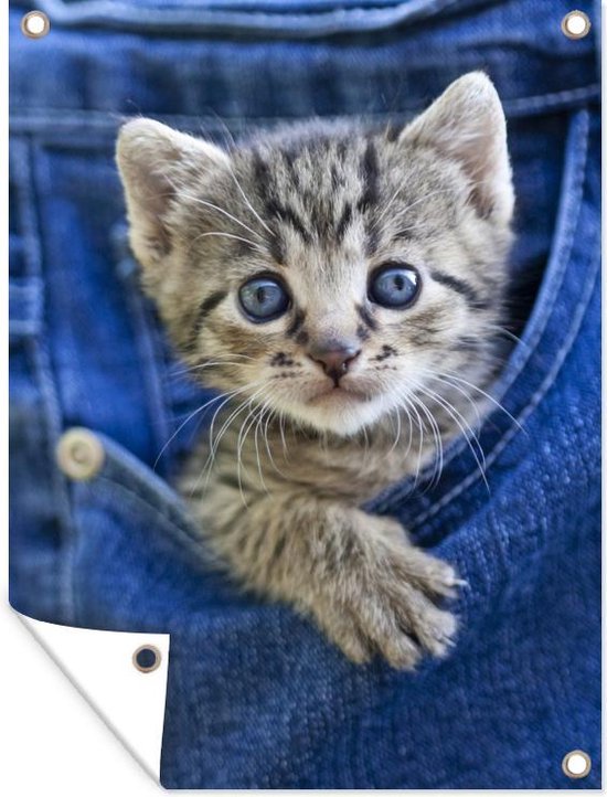 Tuinposter 30x40 cm - Tuindecoratie Een kitten in een denim jeans - Poster voor in de tuin - Buiten decoratie - Schutting tuinschilderij - Tuindoek muurdecoratie - Wanddecoratie balkondoek