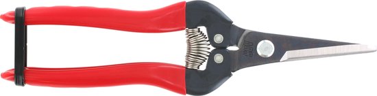 ARS300LR - Fruitschaar 19cm, recht, rood van ARS — afbeelding 2