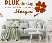 Muursticker Pluk De Dag Maar Laat Iets Over Voor Morgen -  Bruin -  80 x 31 cm  -  slaapkamer  nederlandse teksten  woonkamer  alle - Muursticker4Sale