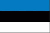 vlag Estland 40x60cm - Spunpoly