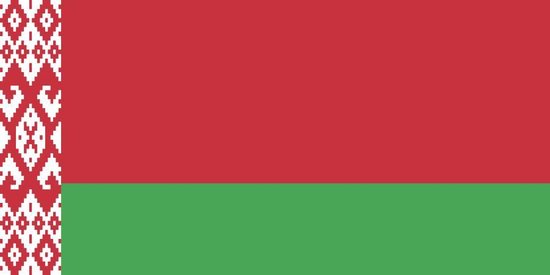 voorspelling Onderhandelen ego Vlag Wit Rusland - Officieel 50x75cm | bol.com