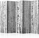 3D Tapijt Vouwscherm - Kamerscherm - Scheidingswand - Birch forest II [Room Dividers] 225x172 - 3D Tapijt