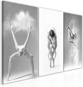 Schilderijen Op Canvas - Schilderij - Ballet (Collection) 120x60 - Artgeist Schilderij