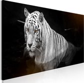 Schilderijen Op Canvas - Schilderij - Shining Tiger (1 Part) Orange Narrow 120x40 - Artgeist Schilderij