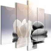 Schilderijen Op Canvas - Schilderij - Natural Lightness (5 Parts) Wide 200x100 - Artgeist Schilderij