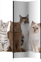 Kamerscherm - Scheidingswand - Vouwscherm - Sweet Cats [Room Dividers] 135x172 - Artgeist Vouwscherm