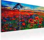 Schilderijen Op Canvas - Schilderij - Valley of Poppies 120x60 - Artgeist Schilderij